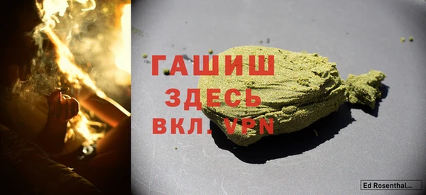 гидра Инта