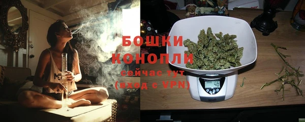 гидра Инта