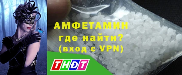 гидра Инта