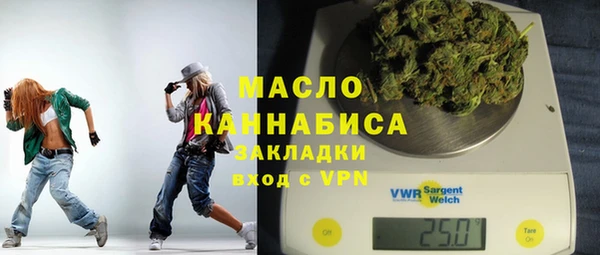 гидра Инта