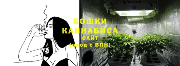 гидра Инта