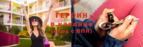 гидра Инта