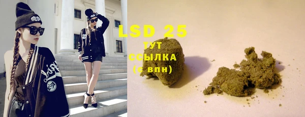 гидра Инта