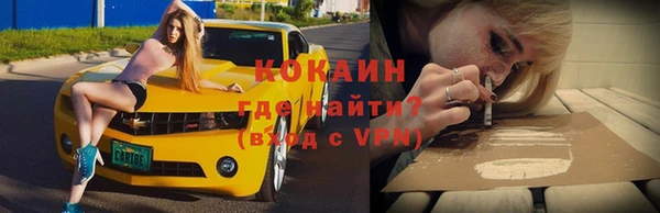 гидра Инта