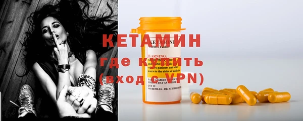гидра Инта