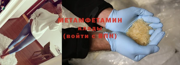 гидра Инта