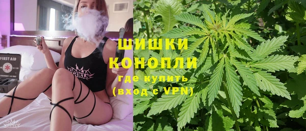 гидра Инта