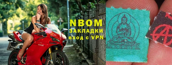 гидра Инта