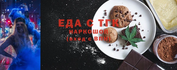 гидра Инта