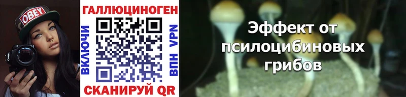 Купить где  Кирсанов  Галлюциногенные грибы ЛСД 